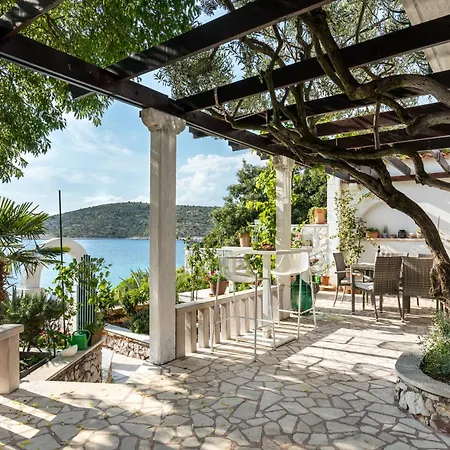 Dalmatia Kanica *