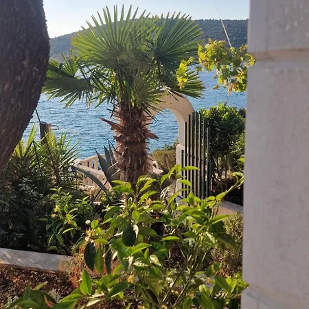Dalmatia Kanica Sevid