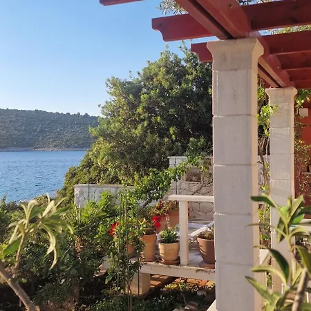 Dalmatia Kanica * Sevid