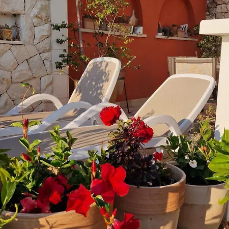 Dalmatia Kanica Sevid